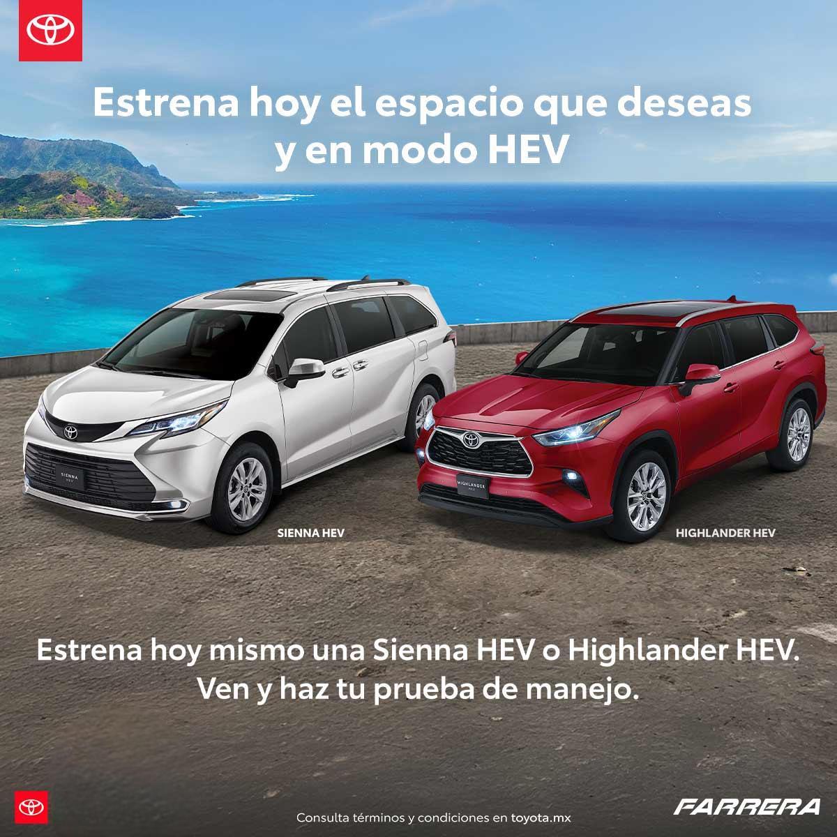 SIENNA HEV / HIGHLANDER HEV